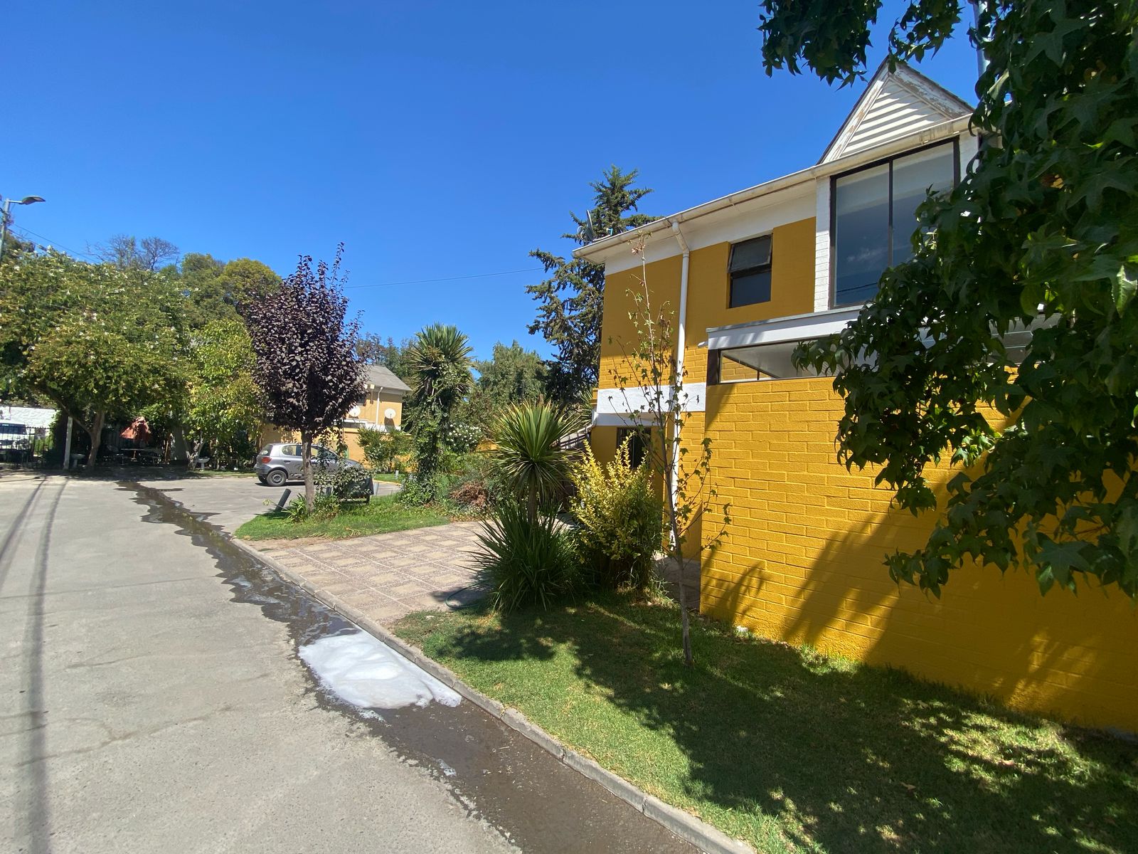 PHOTO-2025-03-18-18-01-08