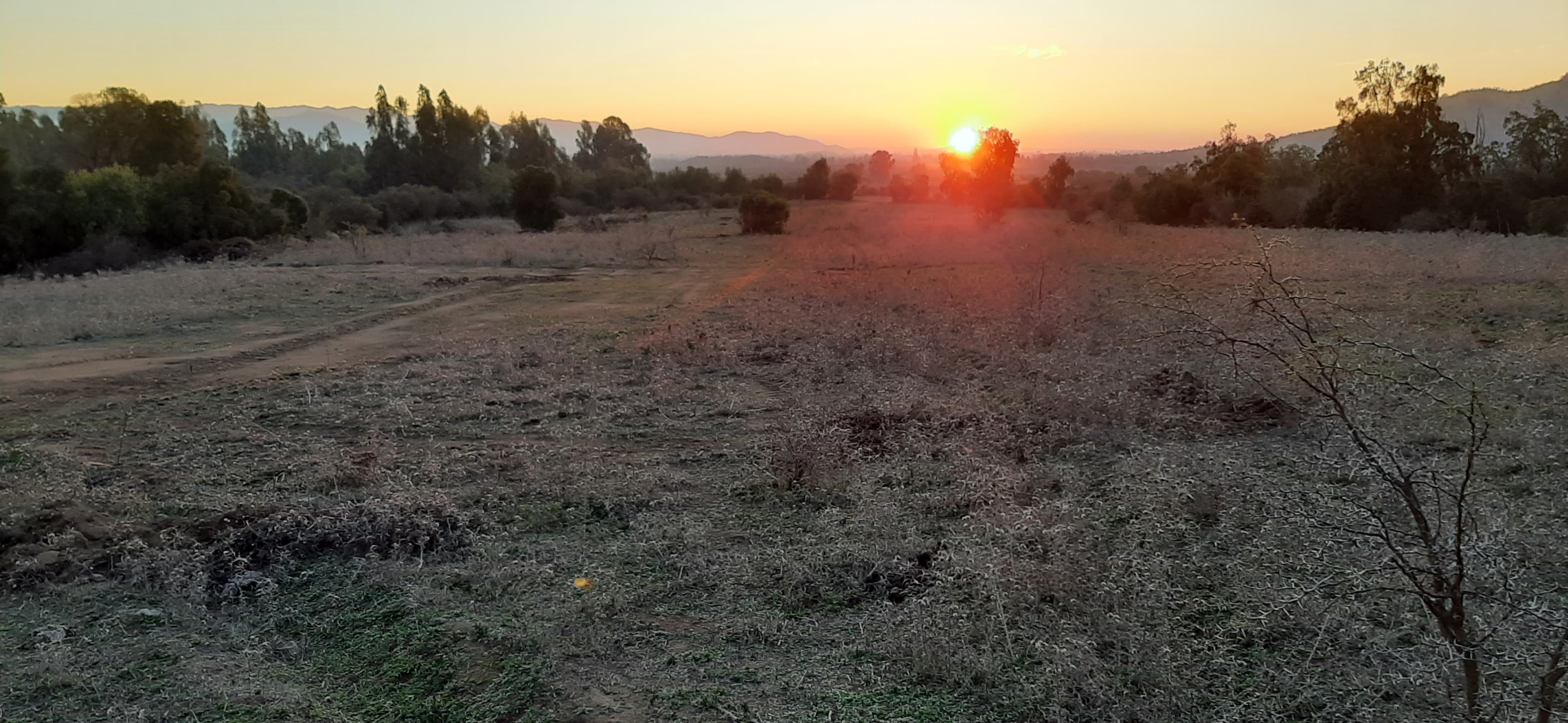 Santa Cruz - El Huique (2) (1)