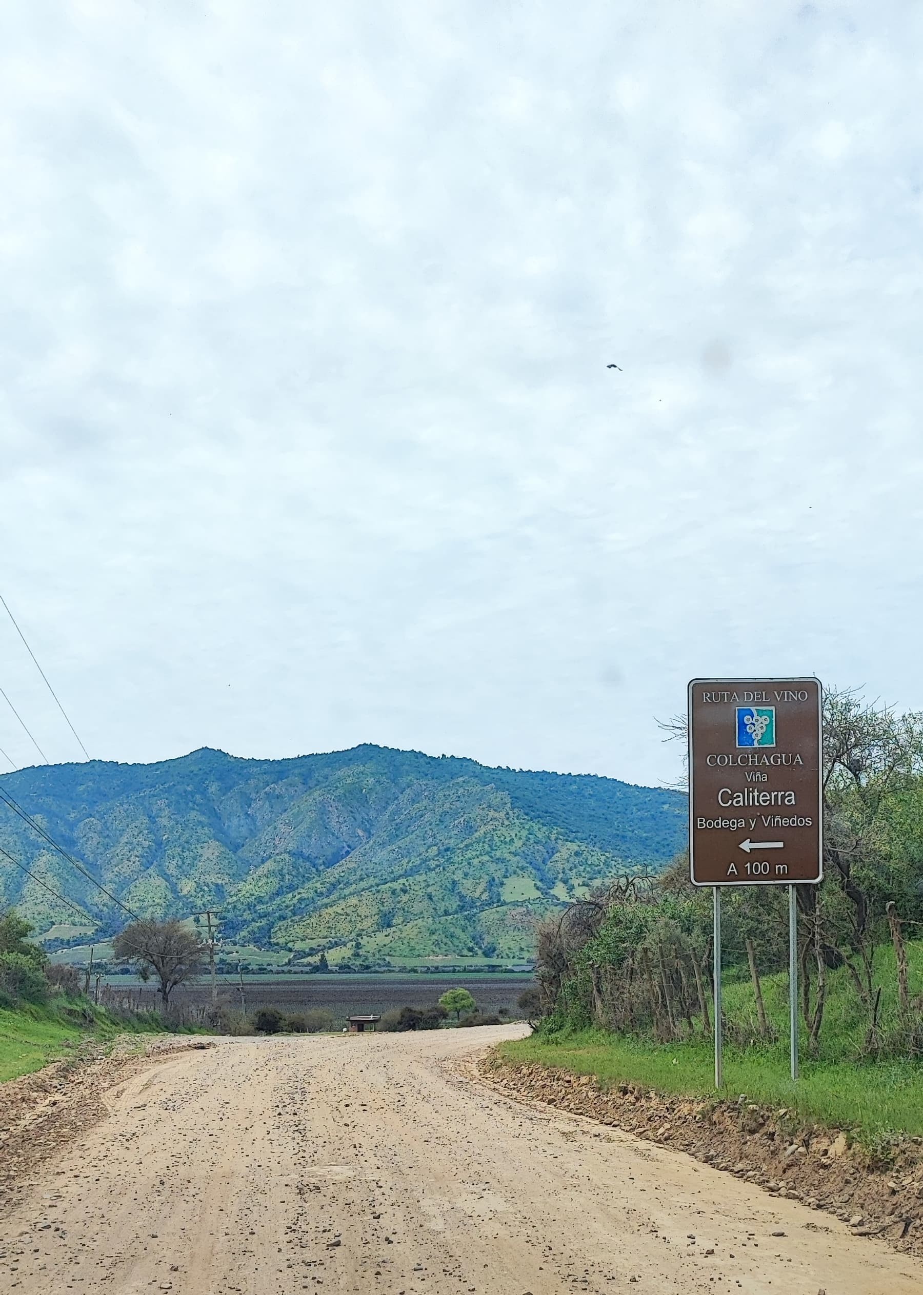 Santa Cruz - El Huique (4) (1) - copia