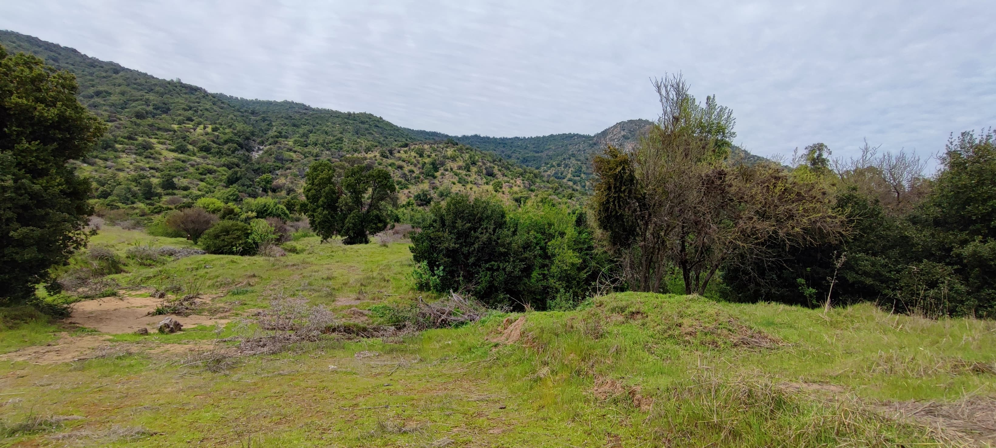 Santa Cruz - El Huique (8) (2)