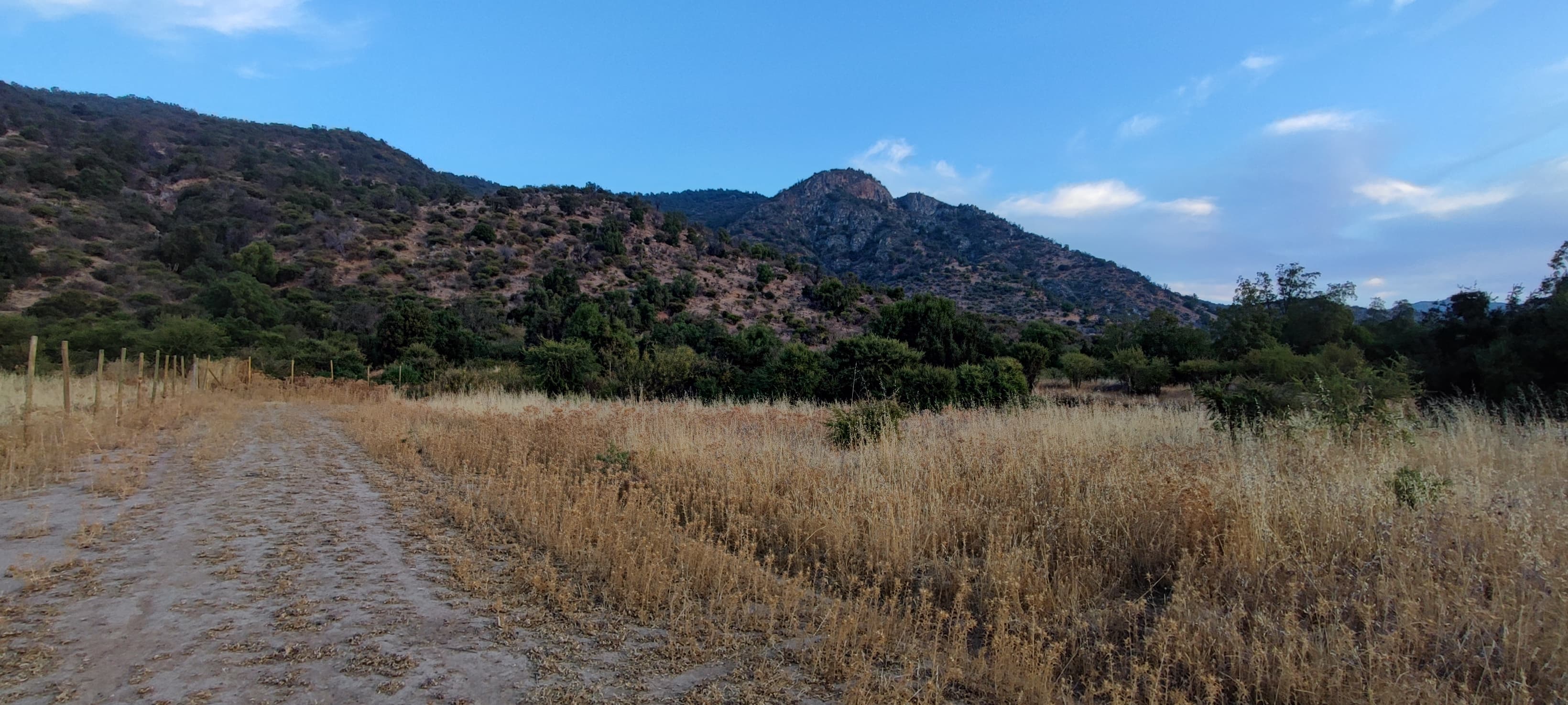 Santa Cruz - El Huique (9) (2)