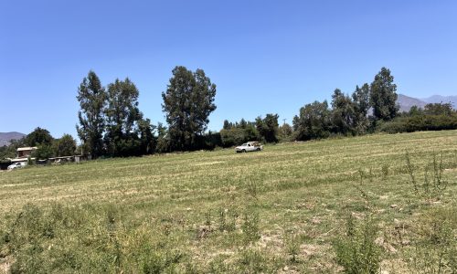 IMG_5248